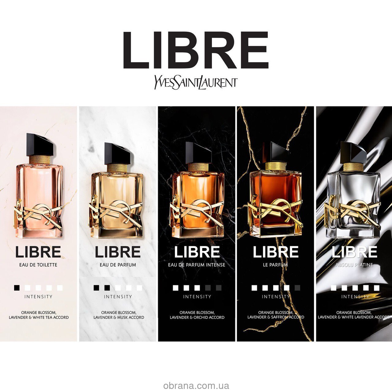 Libre Le Parfum Yves Saint Laurent image 0
