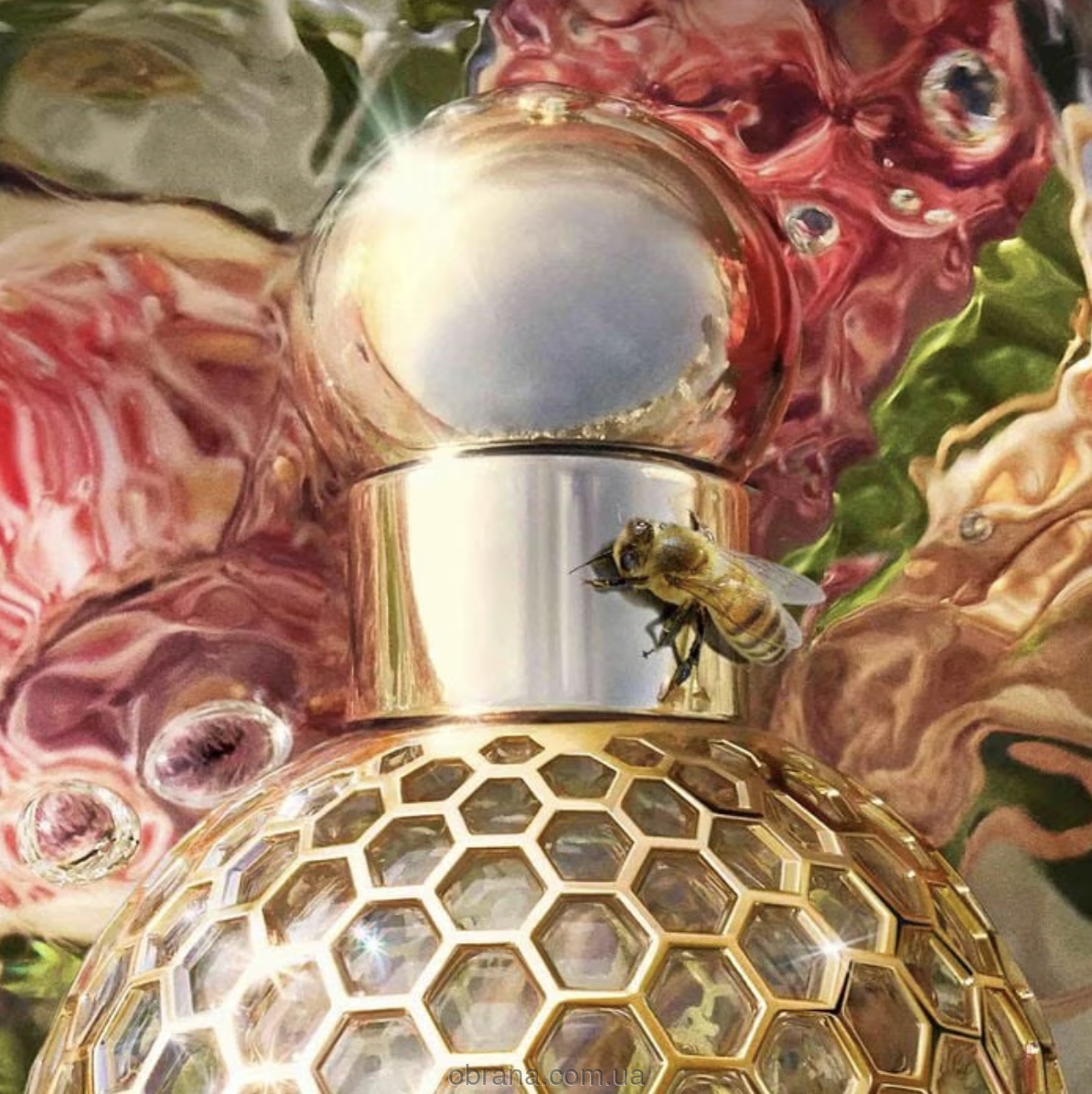 Aqua Allegoria Nerolia Vetiver Guerlain image 0
