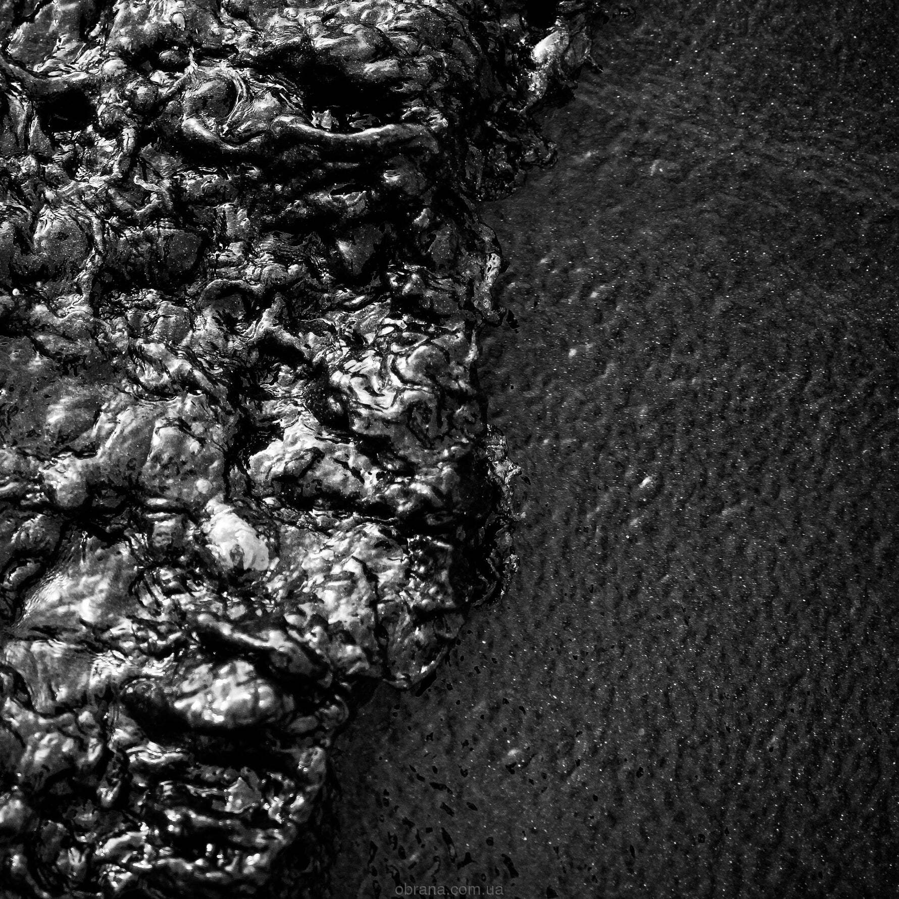 Oud Noir Vertus image 0