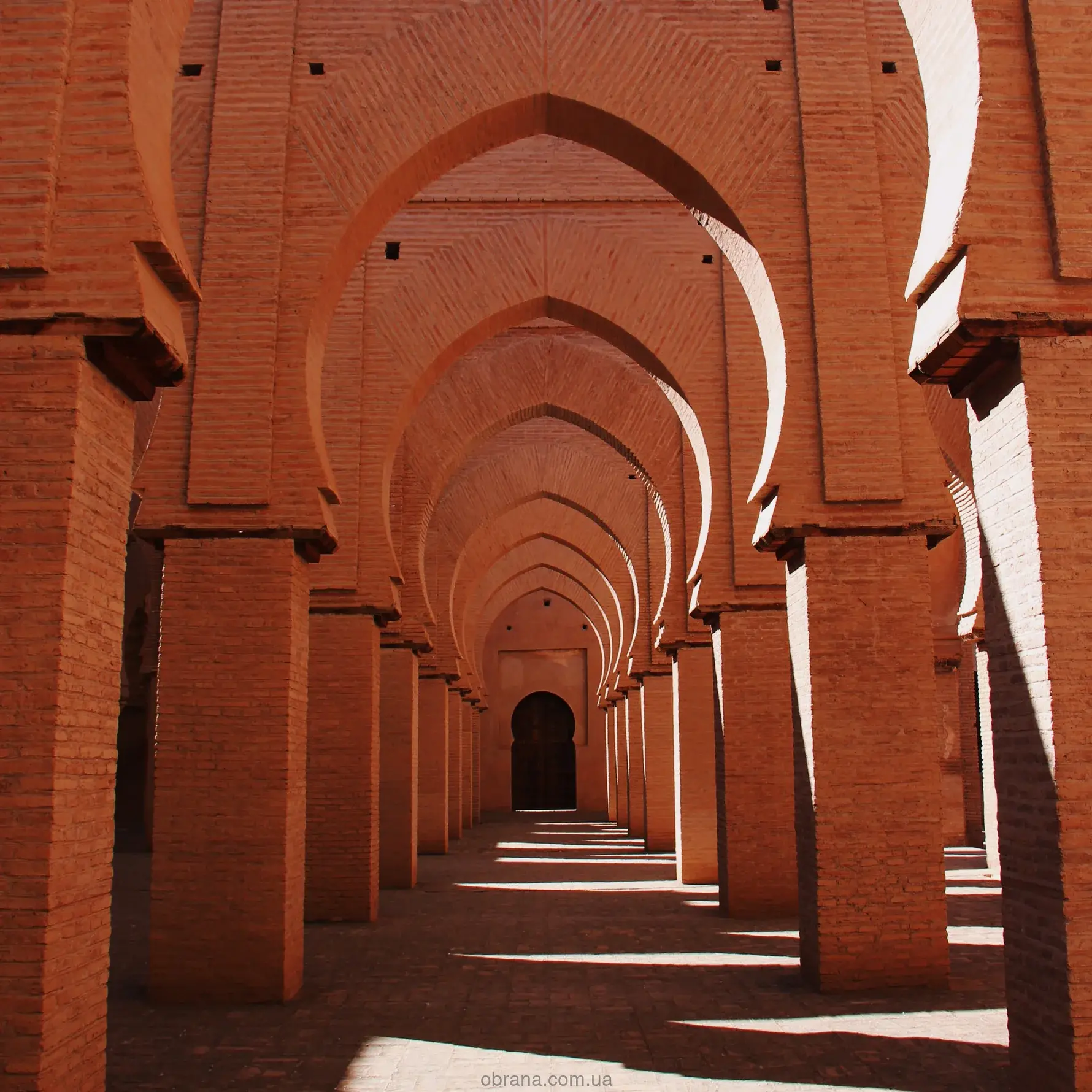 Rose Morocco Vertus image 0