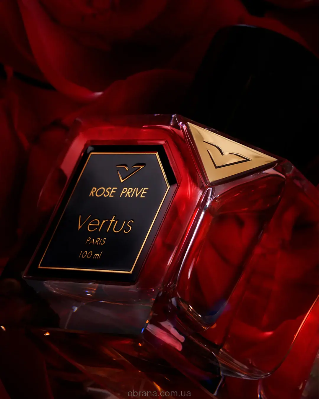 Rose Prive Vertus image 0