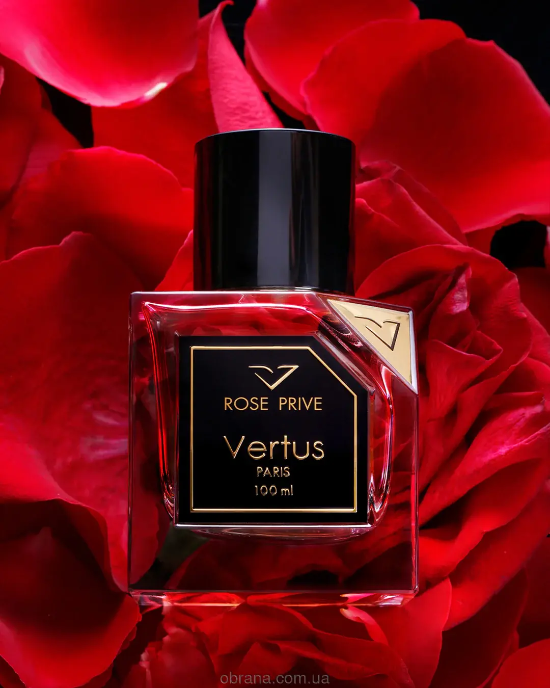 Rose Prive Vertus image 0