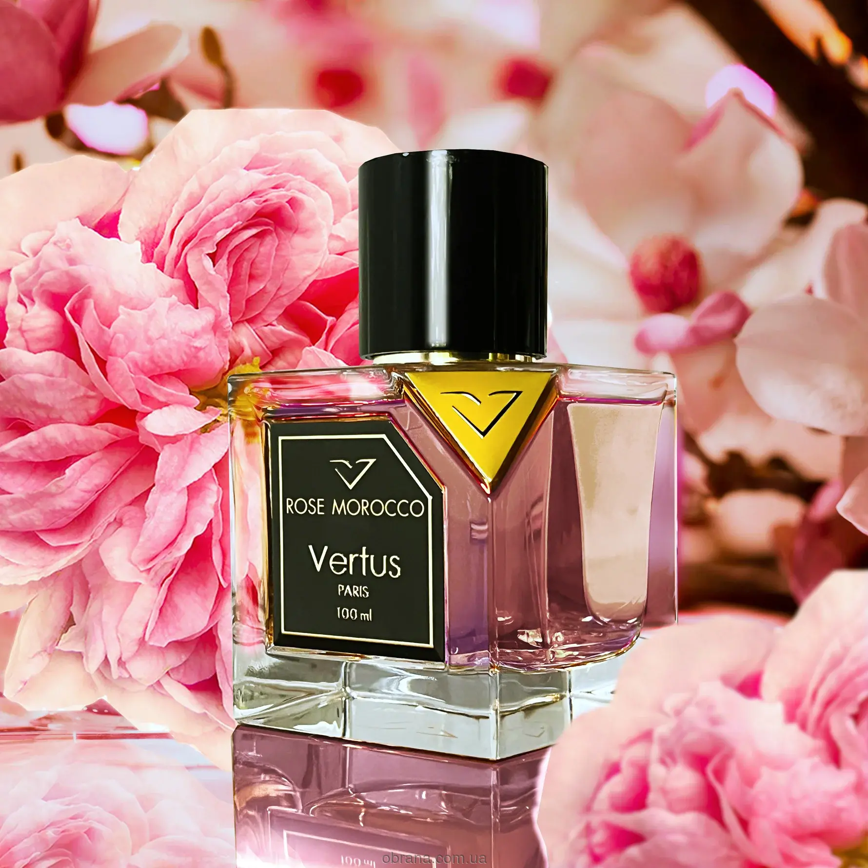 Rose Morocco Vertus image 0