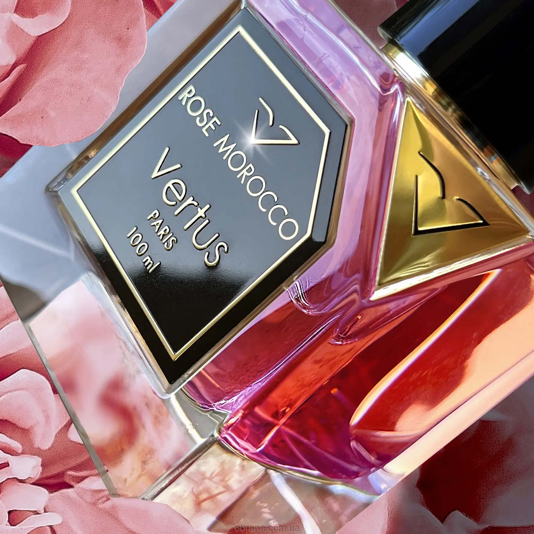 Rose Morocco Vertus image 0