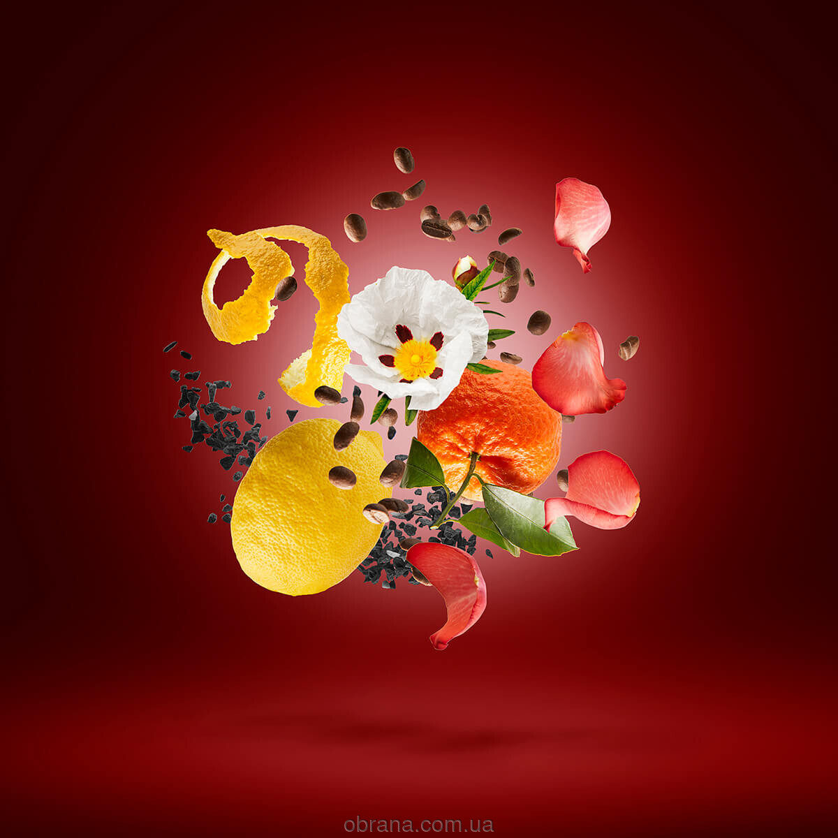 Coffee Break Golden Moka Xerjoff image 0