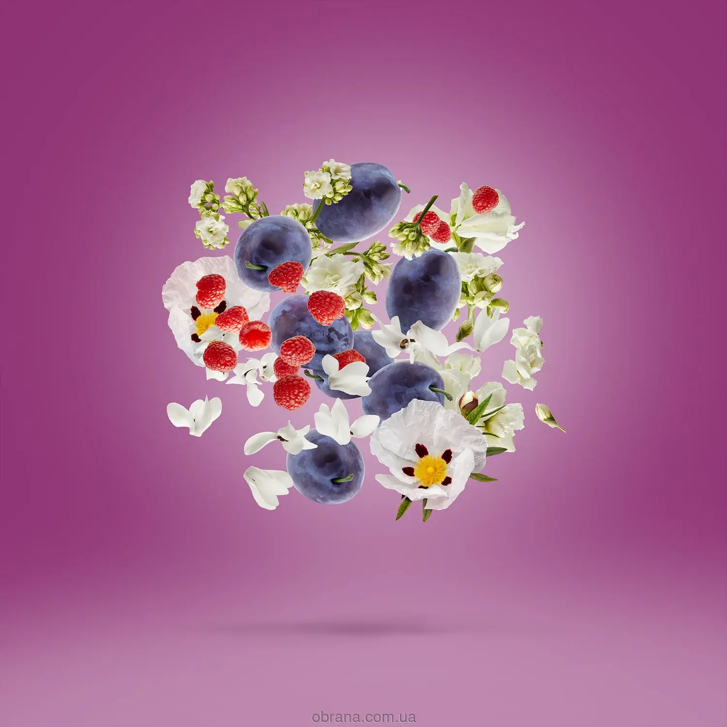 Vibe Muse Xerjoff image 0