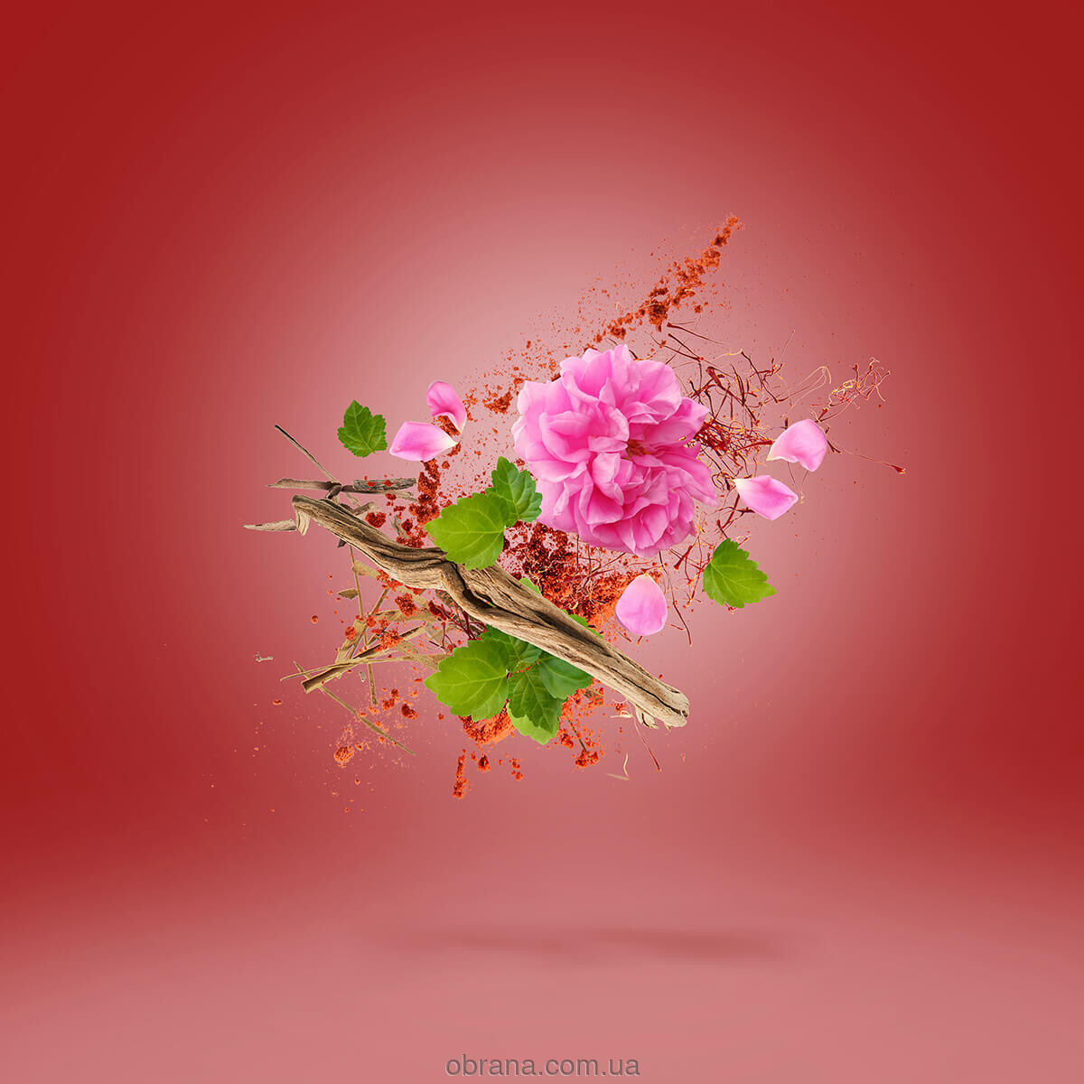 Vibe Wardasina Xerjoff image 0