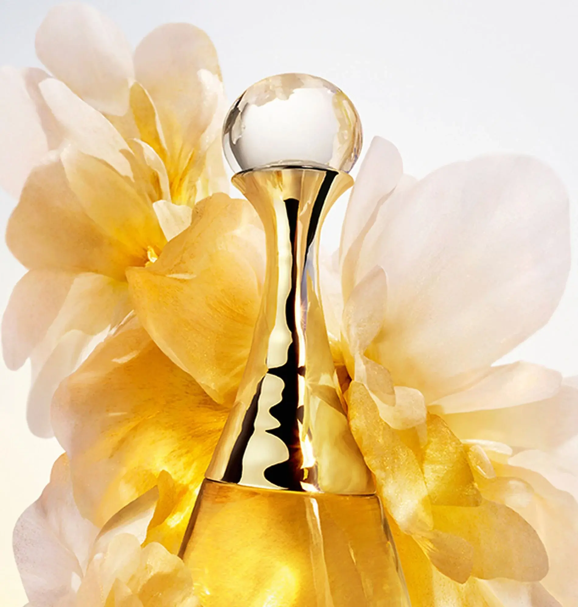 J'adore L'Or (2023) Dior image 0