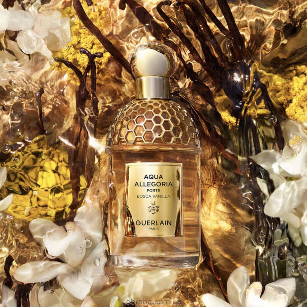 Aqua Allegoria Bosca Vanilla Forte Guerlain image 0