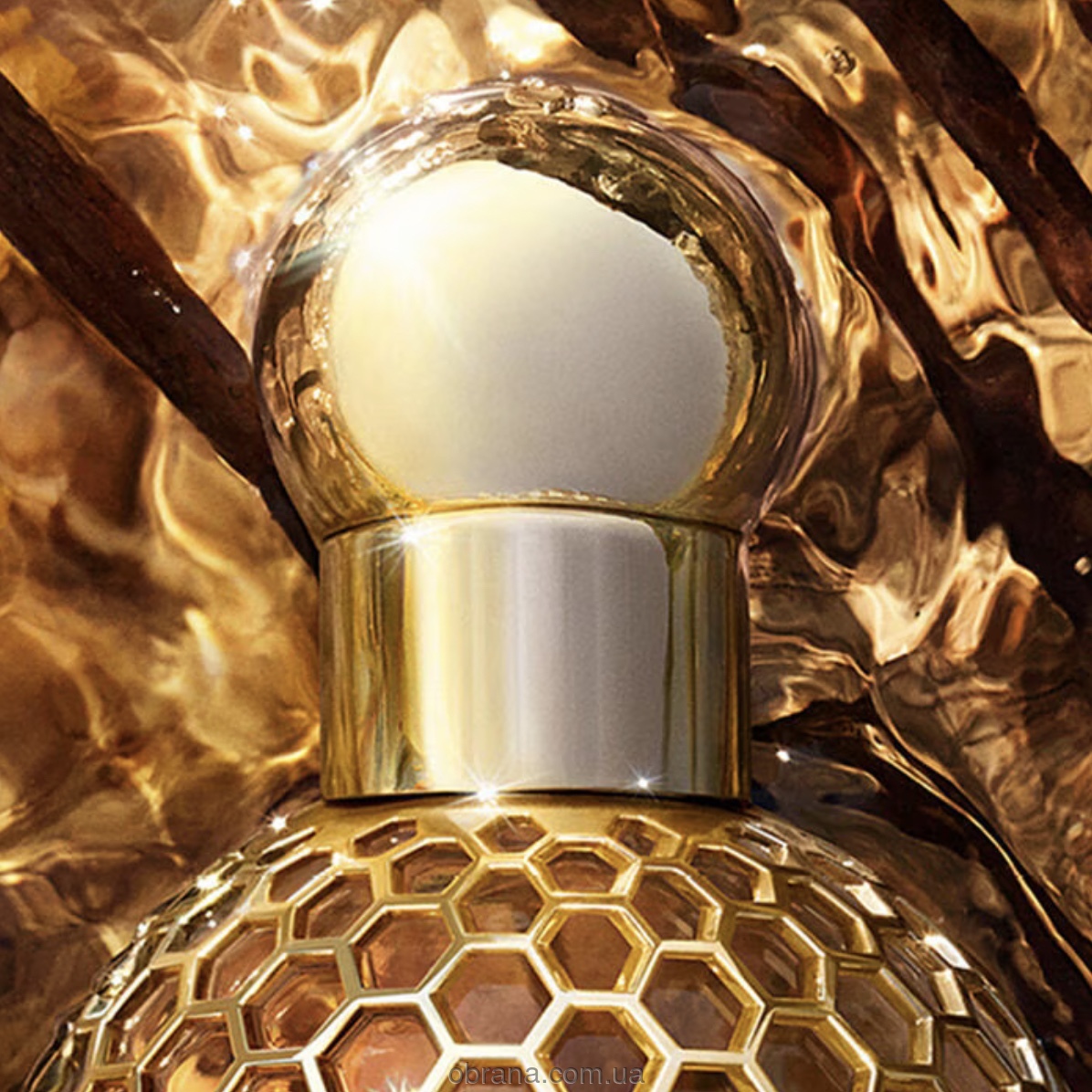 Aqua Allegoria Bosca Vanilla Forte Guerlain image 0