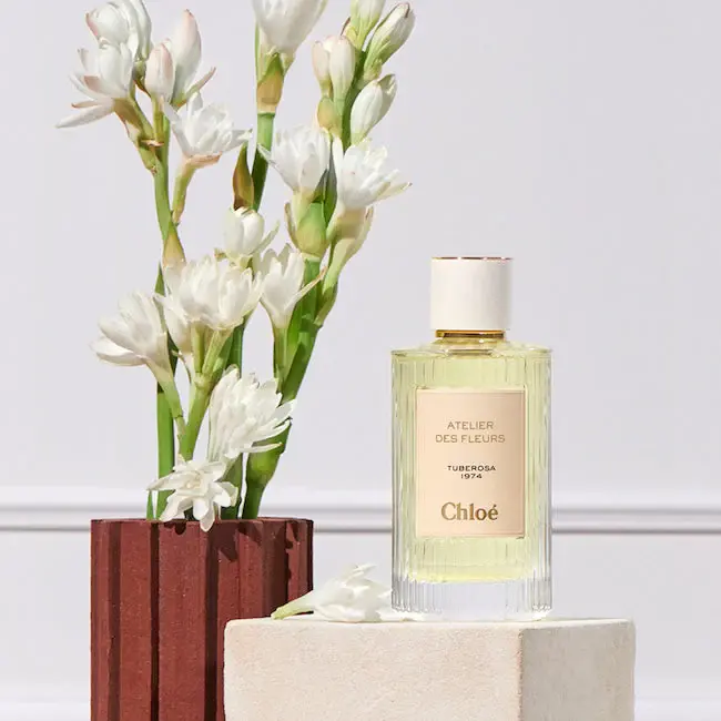 Atelier Des Fleurs Tuberosa Chloé