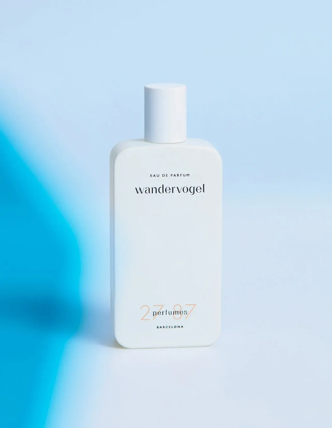 Wandervogel 27 87