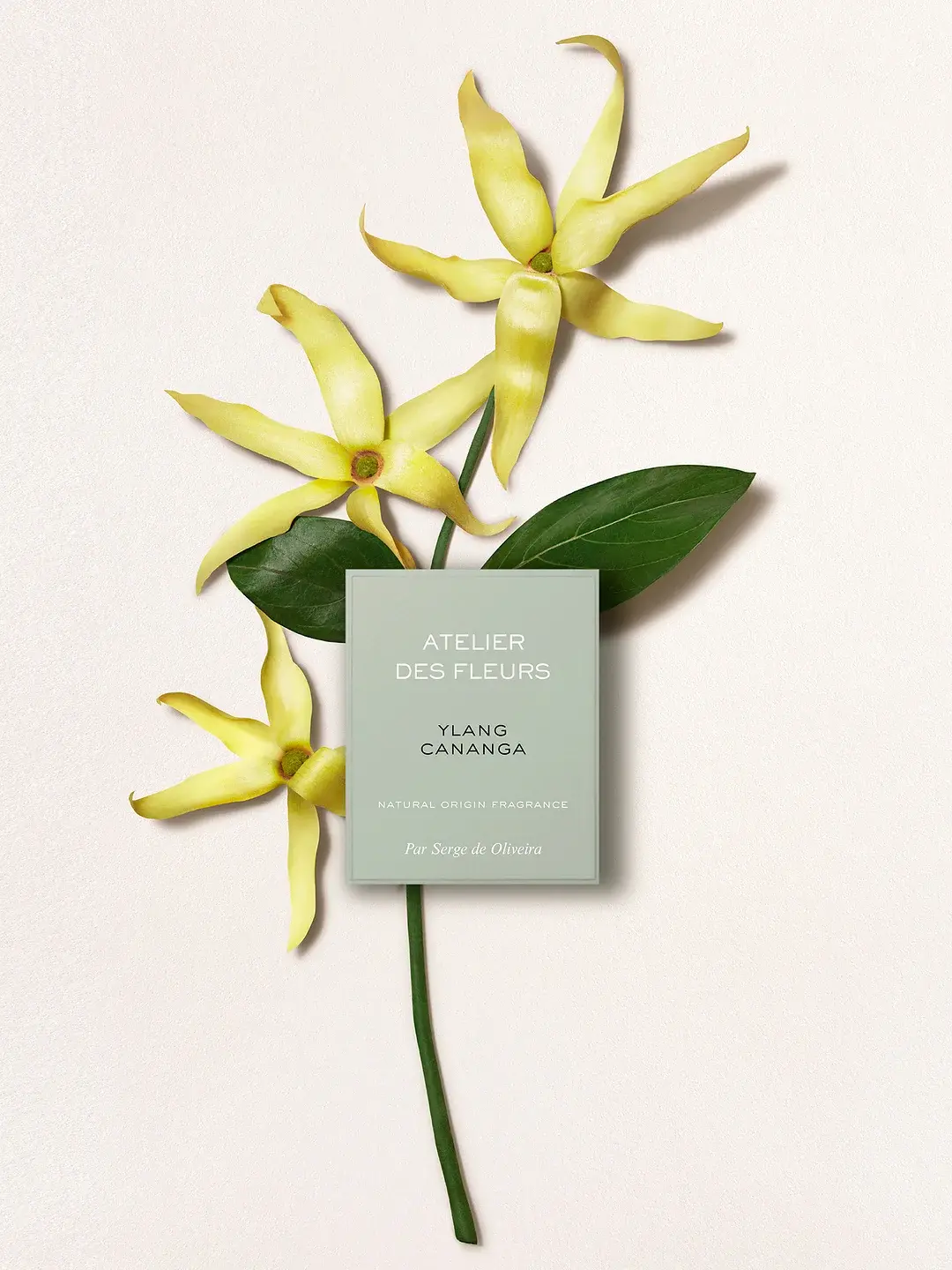 Atelier Des Fleurs Ylang Cananga Chloé image 0