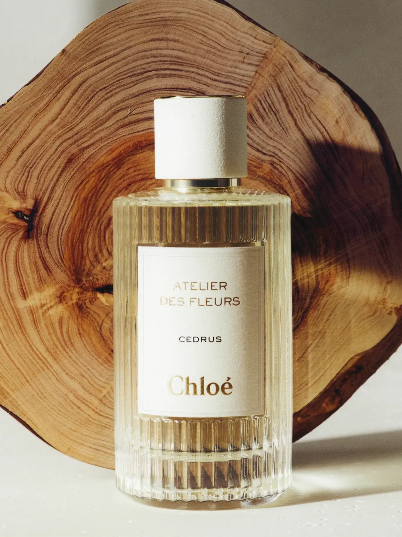 Atelier Des Fleurs Cedrus Chloe