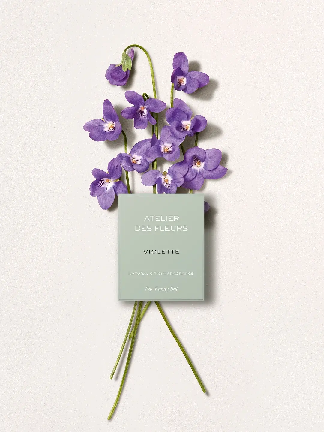 Atelier Des Fleurs Violette Chloé image 0