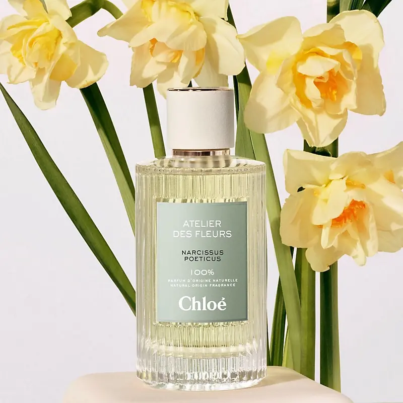 Atelier Des Fleurs Narcissus Poeticus Chloé