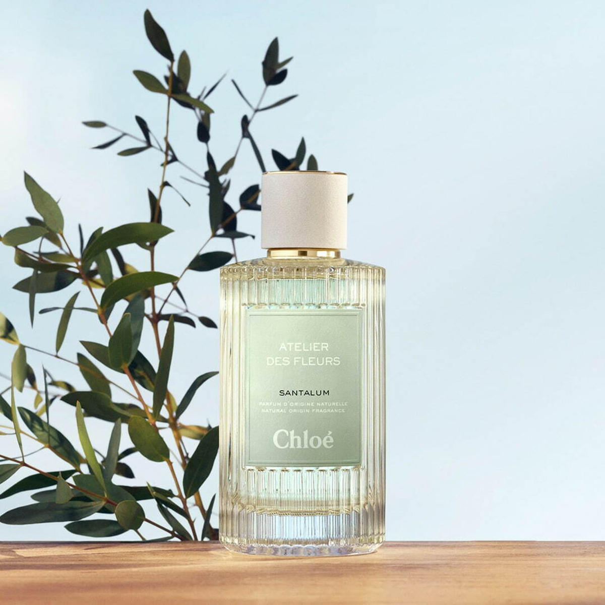 Atelier Des Fleurs Santalum Chloé