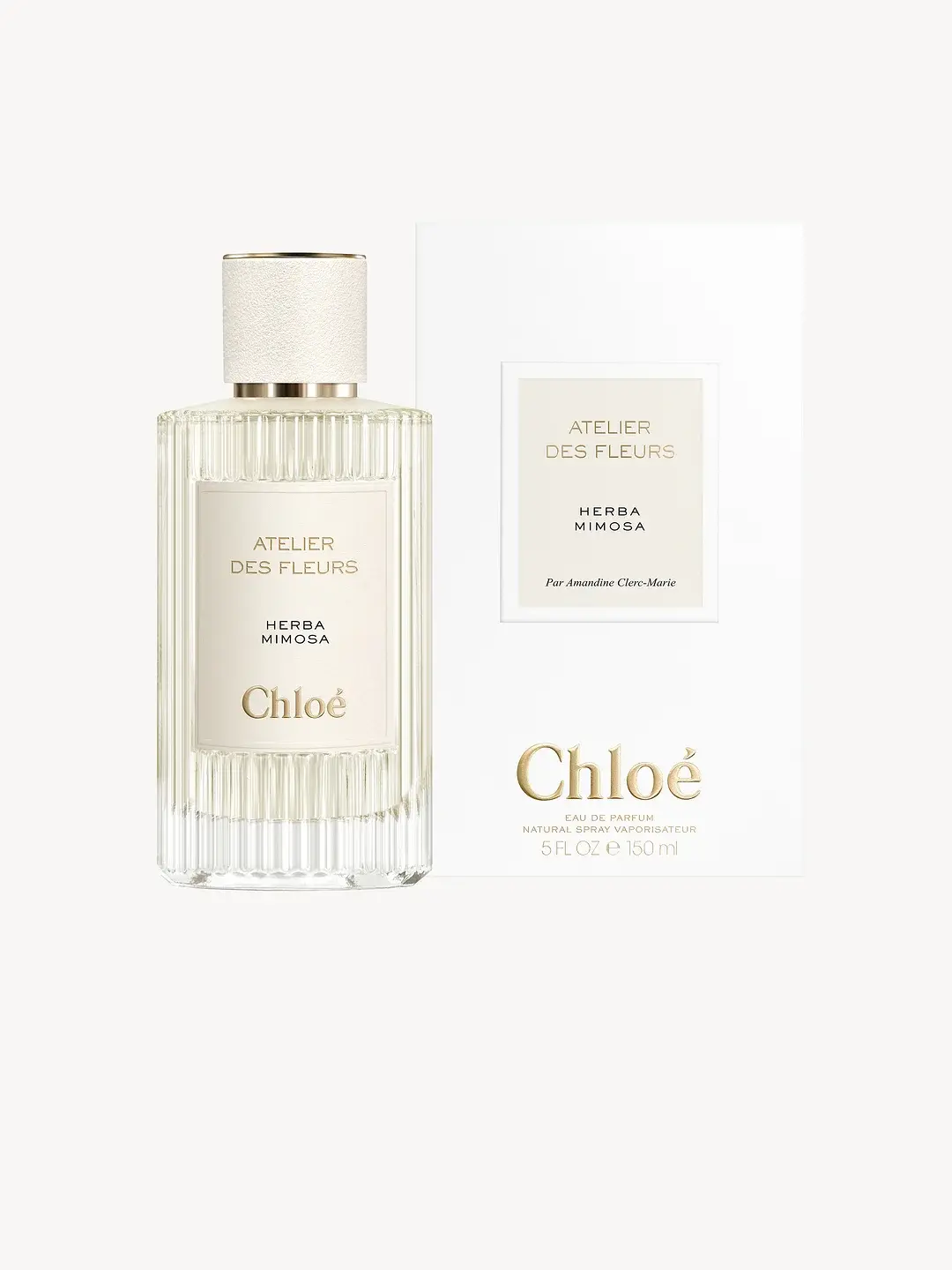 Atelier Des Fleurs Herba Mimosa Chloé image 0