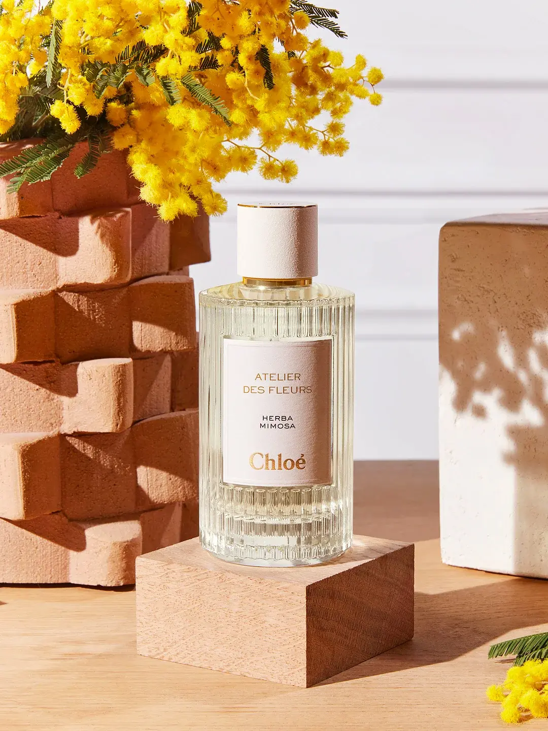 Atelier Des Fleurs Herba Mimosa Chloé