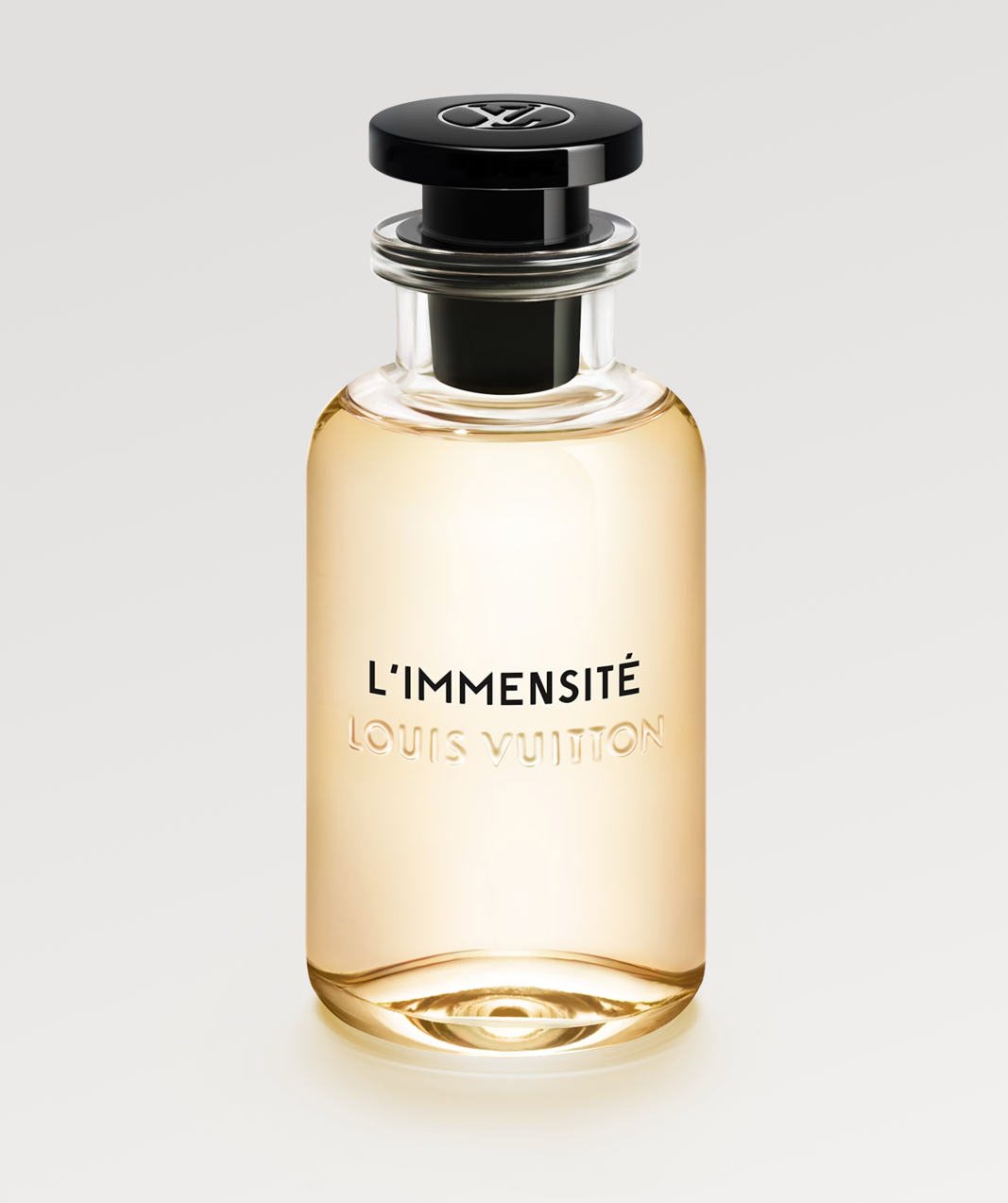 L’Immensite Louis Vuitton image 0