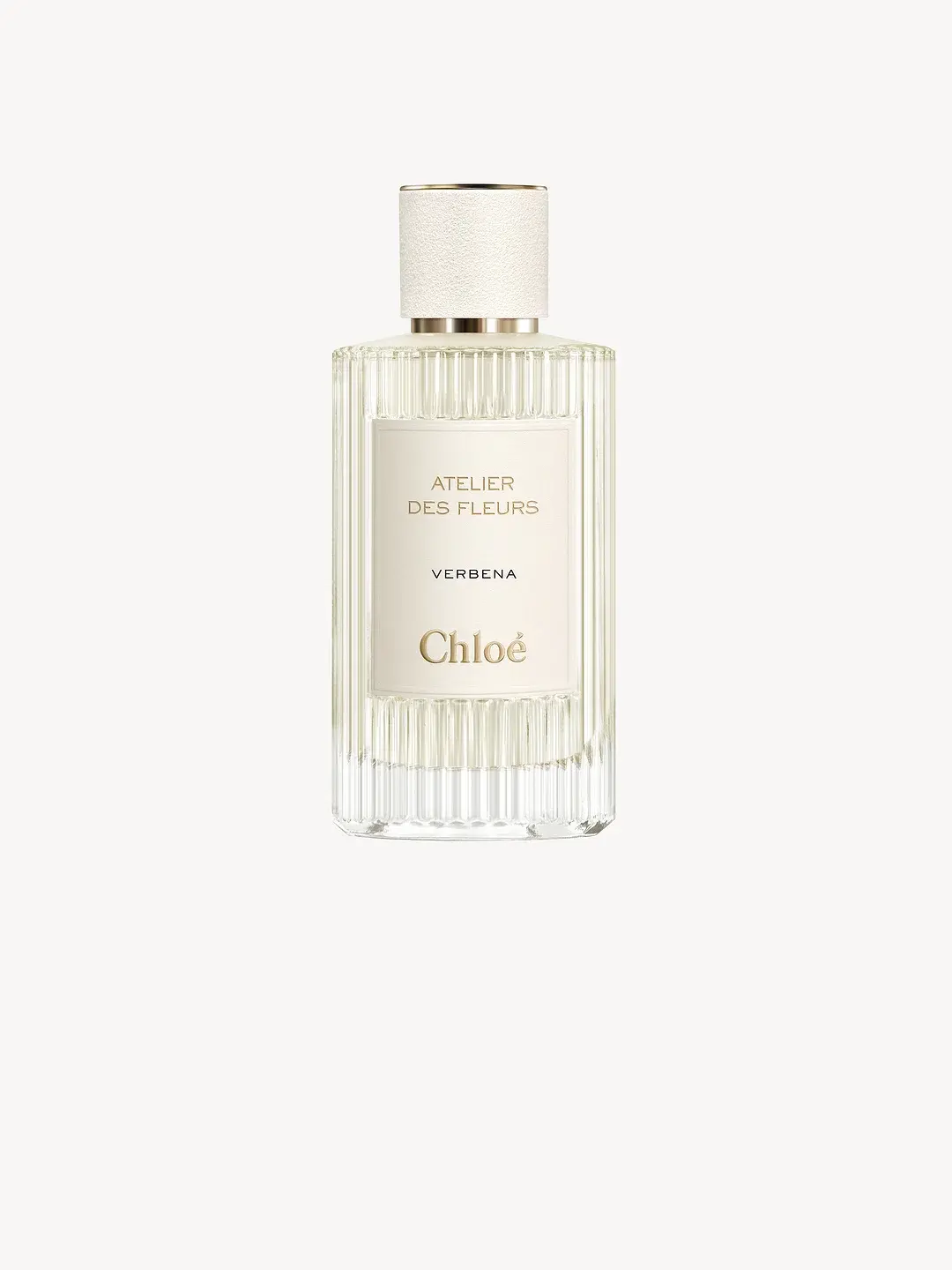 Atelier Des Fleurs Verbena Chloé image 0