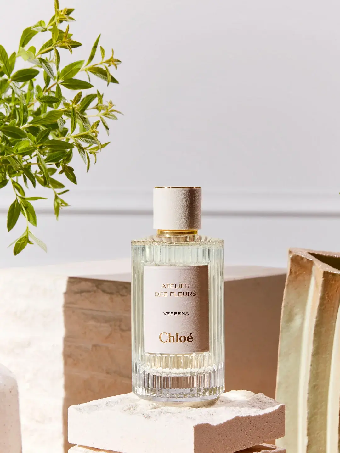Atelier Des Fleurs Verbena Chloé image 0