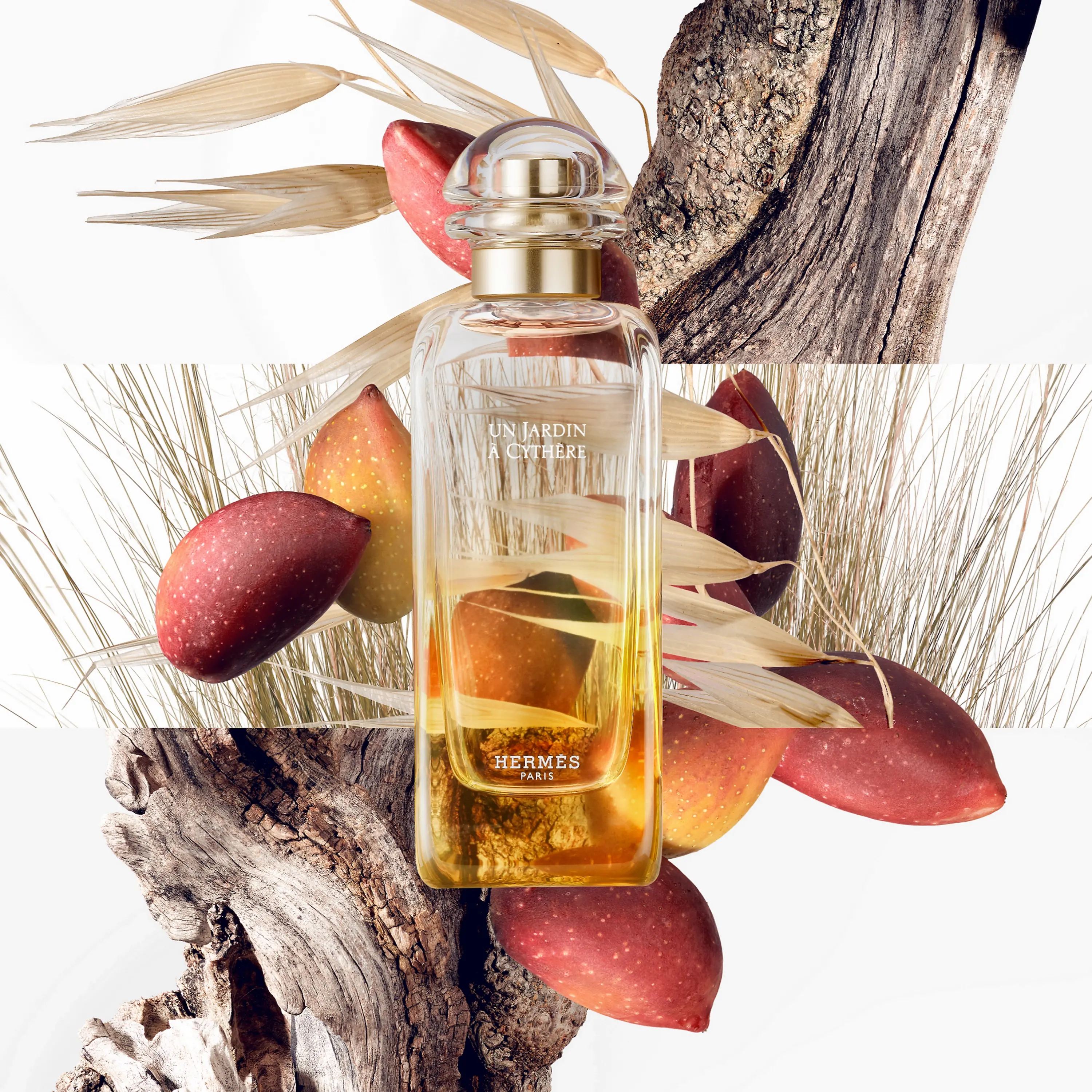 Un Jardin à Cythère Hermès image 0