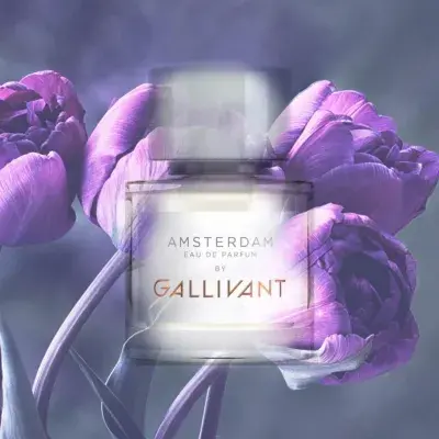 Amsterdam Gallivant