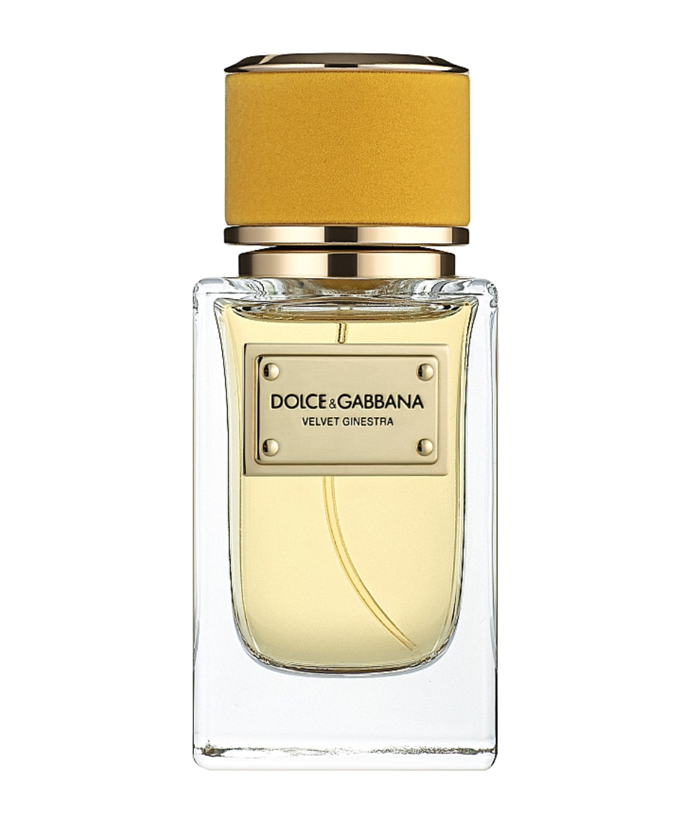 Velvet Ginestra Dolce and Gabbana