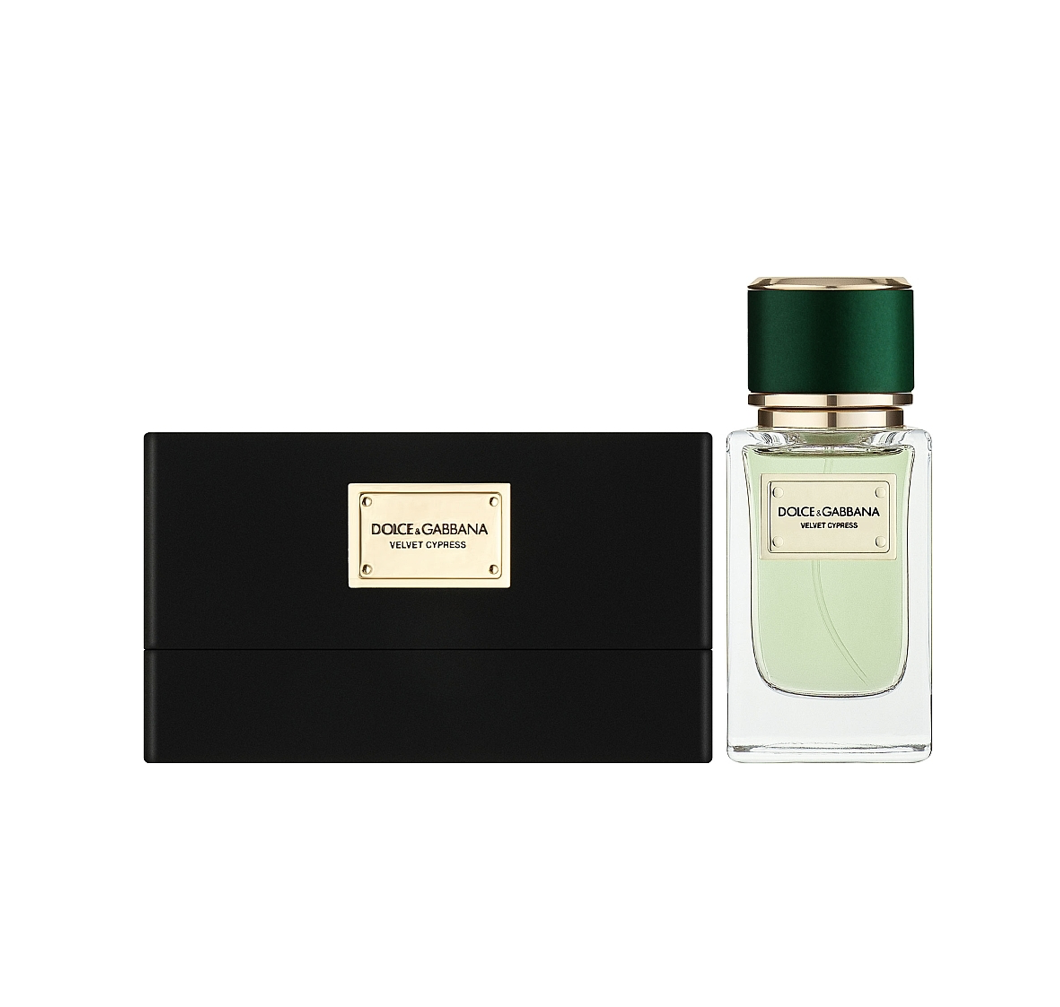 Velvet Cypress Dolce and Gabbana image 0