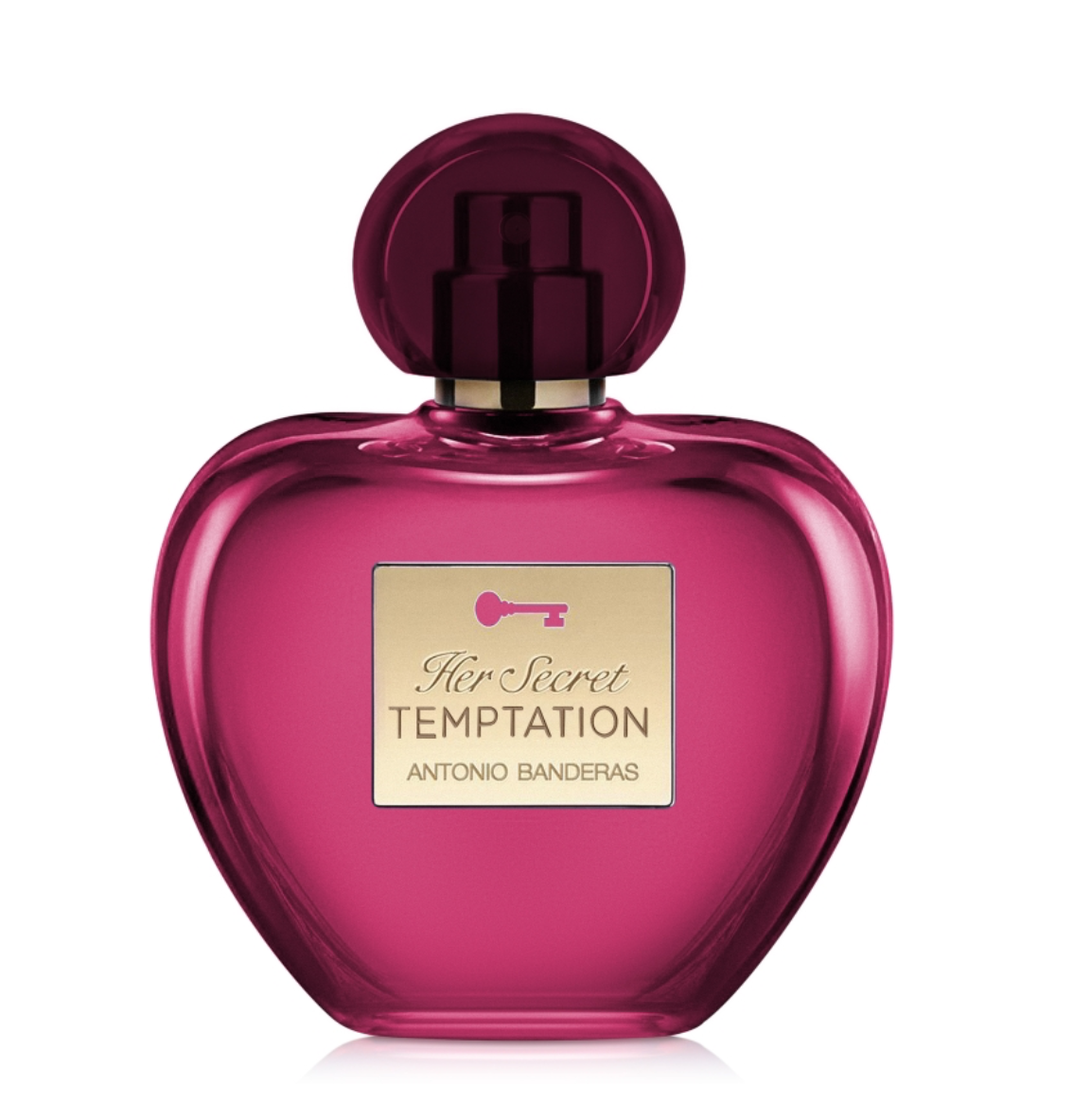 Her Secret Temptation Antonio Banderas image 0