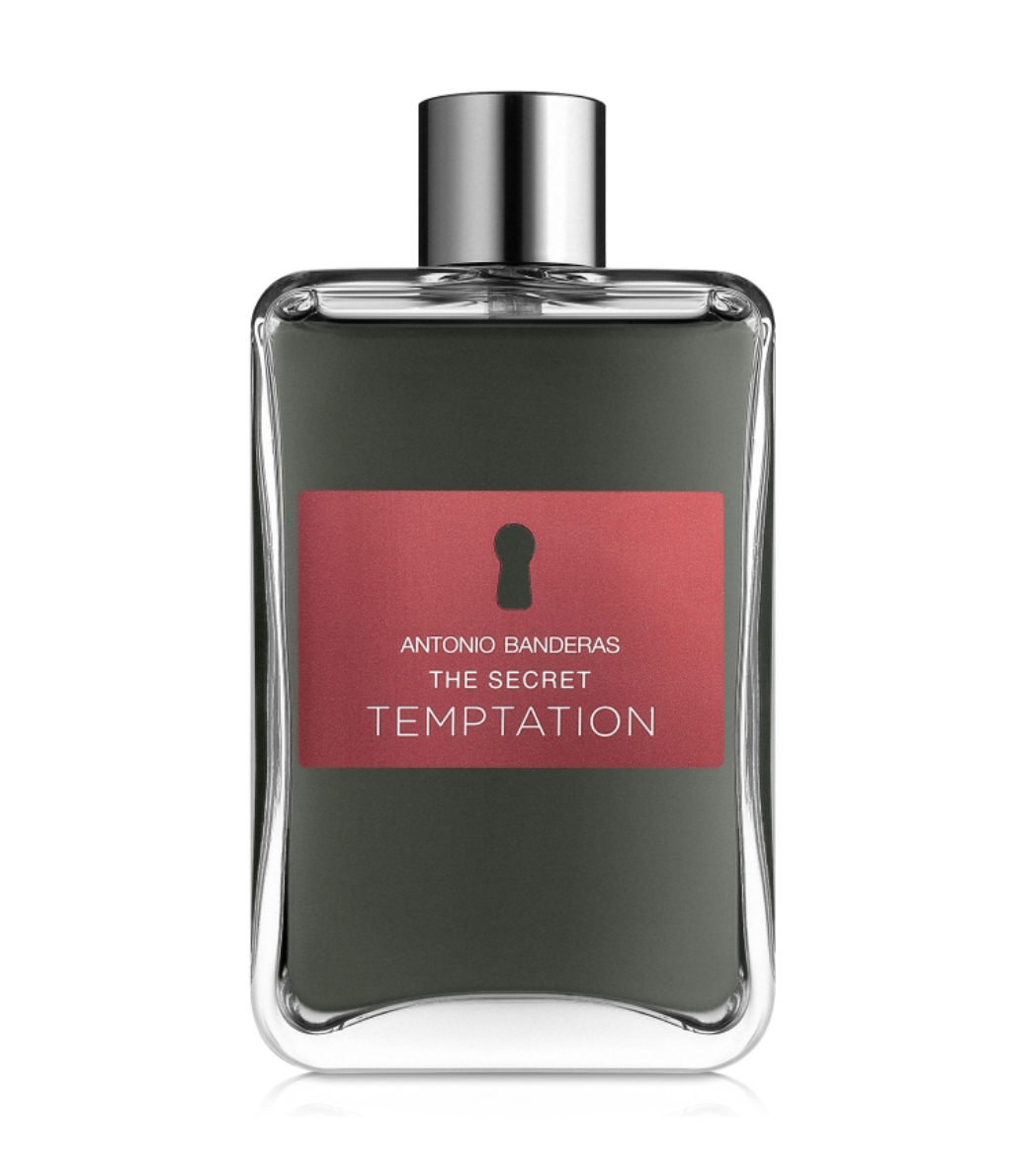 The Secret Temptation Antonio Banderas image 0