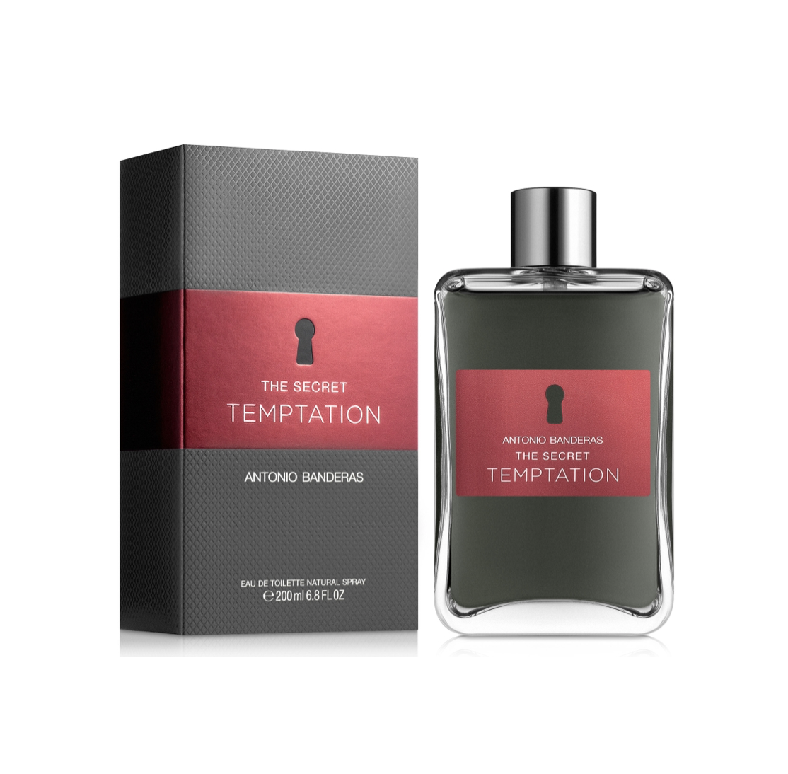The Secret Temptation Antonio Banderas