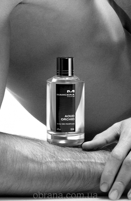 Aoud Orchid Mancera