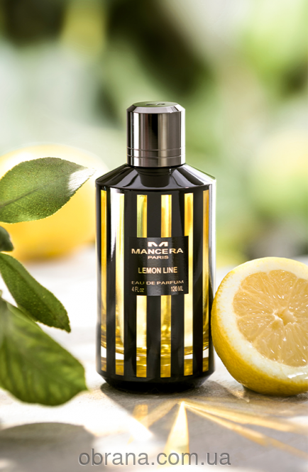 Lemon Line Mancera