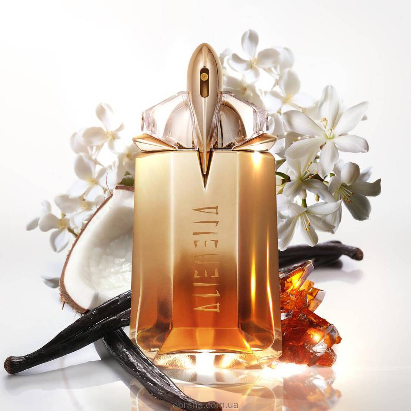 Alien Goddess Intense Thierry Mugler