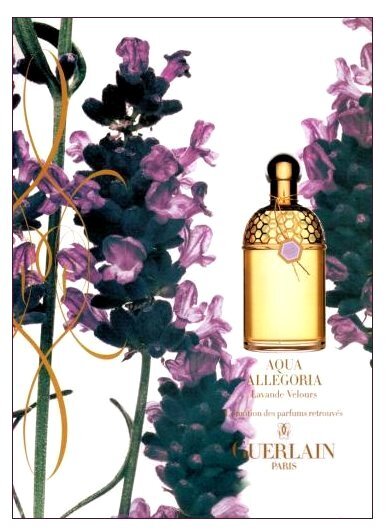 Снятость Aqua Allegoria Lavande Velours Guerlain image 0