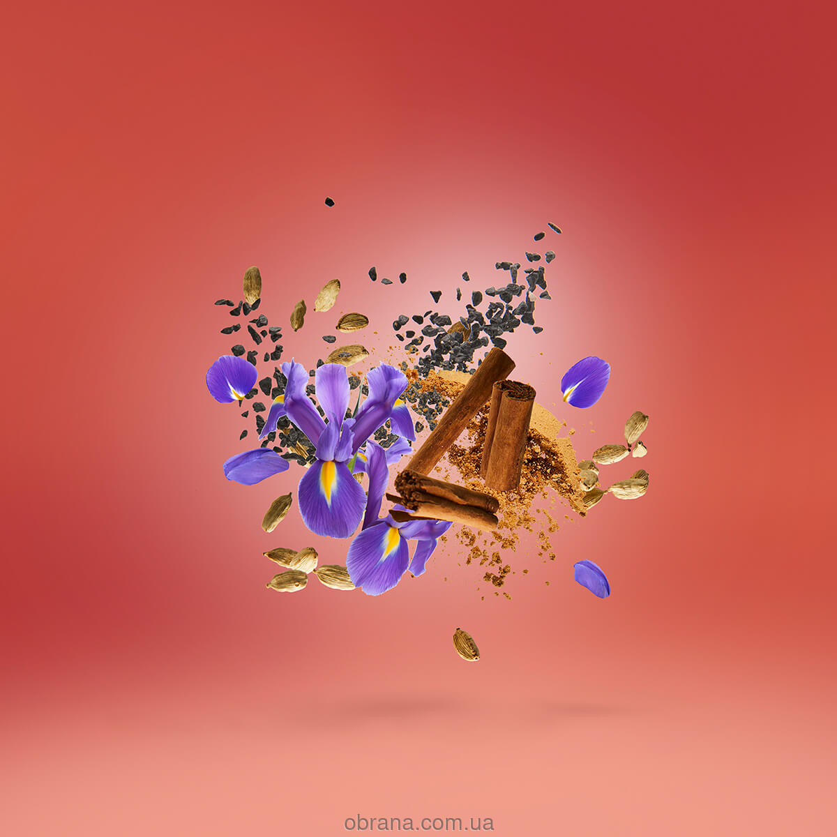 Shooting Stars Red Hoba Xerjoff image 0
