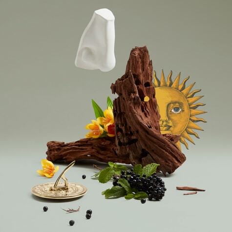Solaris Penhaligon's image 0