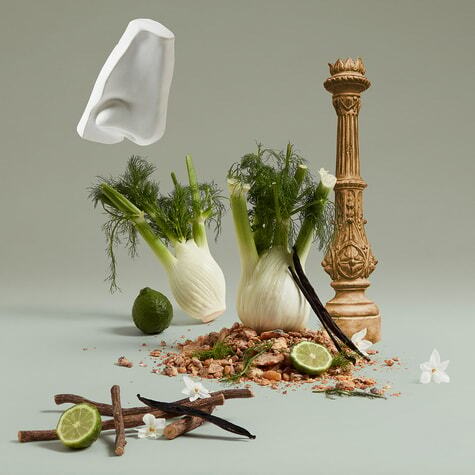 Legacy of Petra Penhaligon's image 0