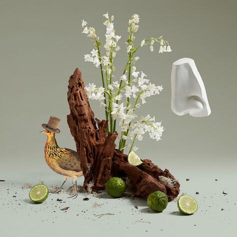 Lily of the Valley Penhaligon's image 0
