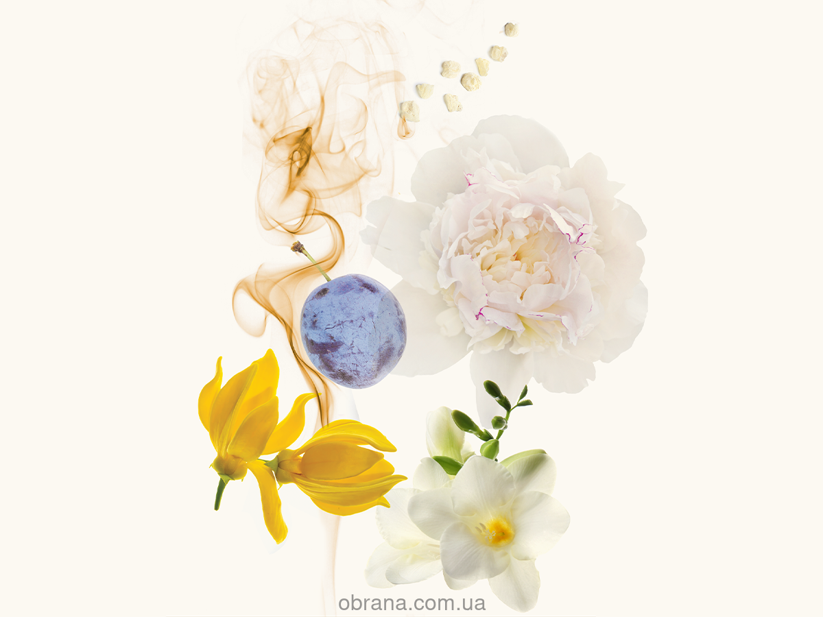 Rose Arabia White WIDIAN image 0