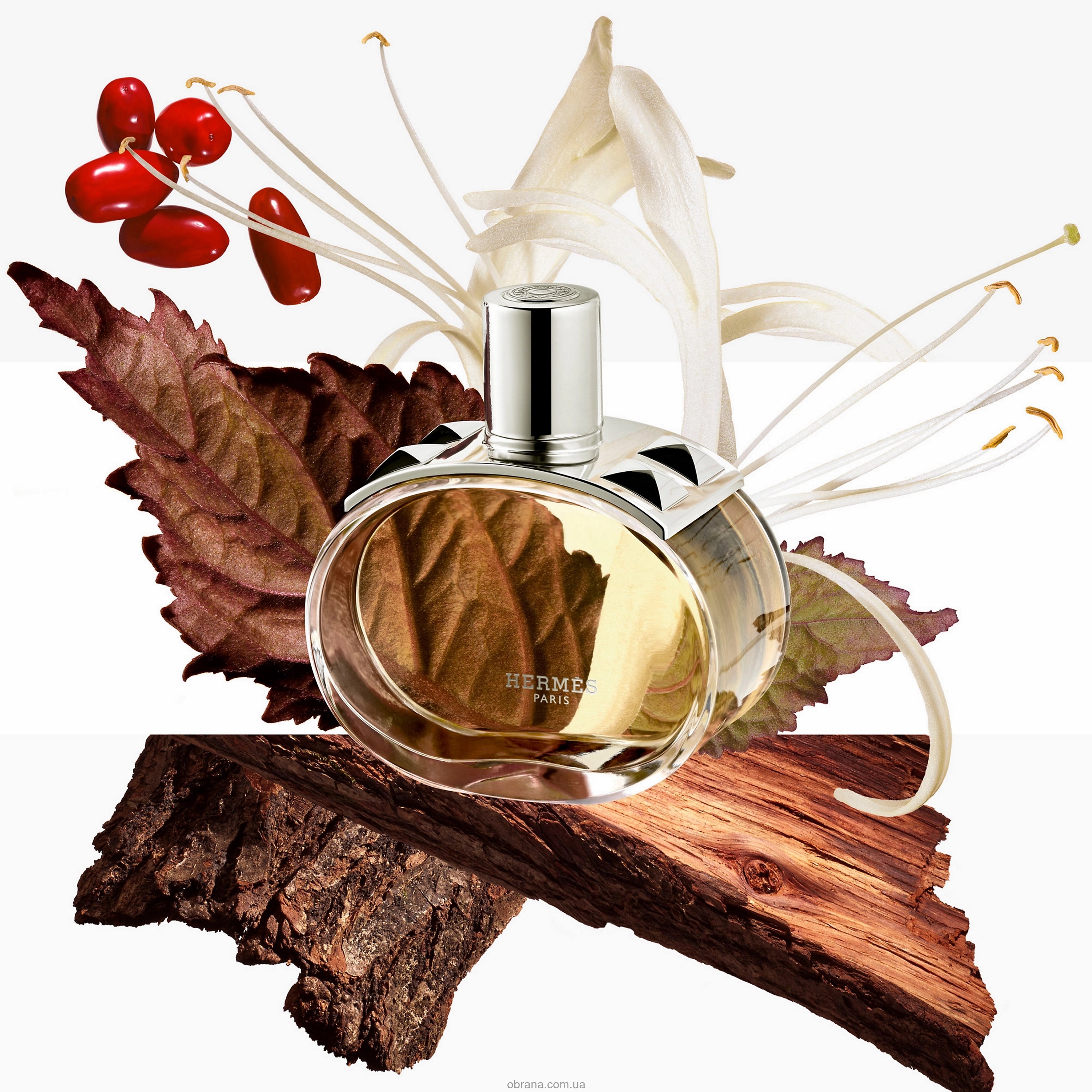Barénia Hermès image 0