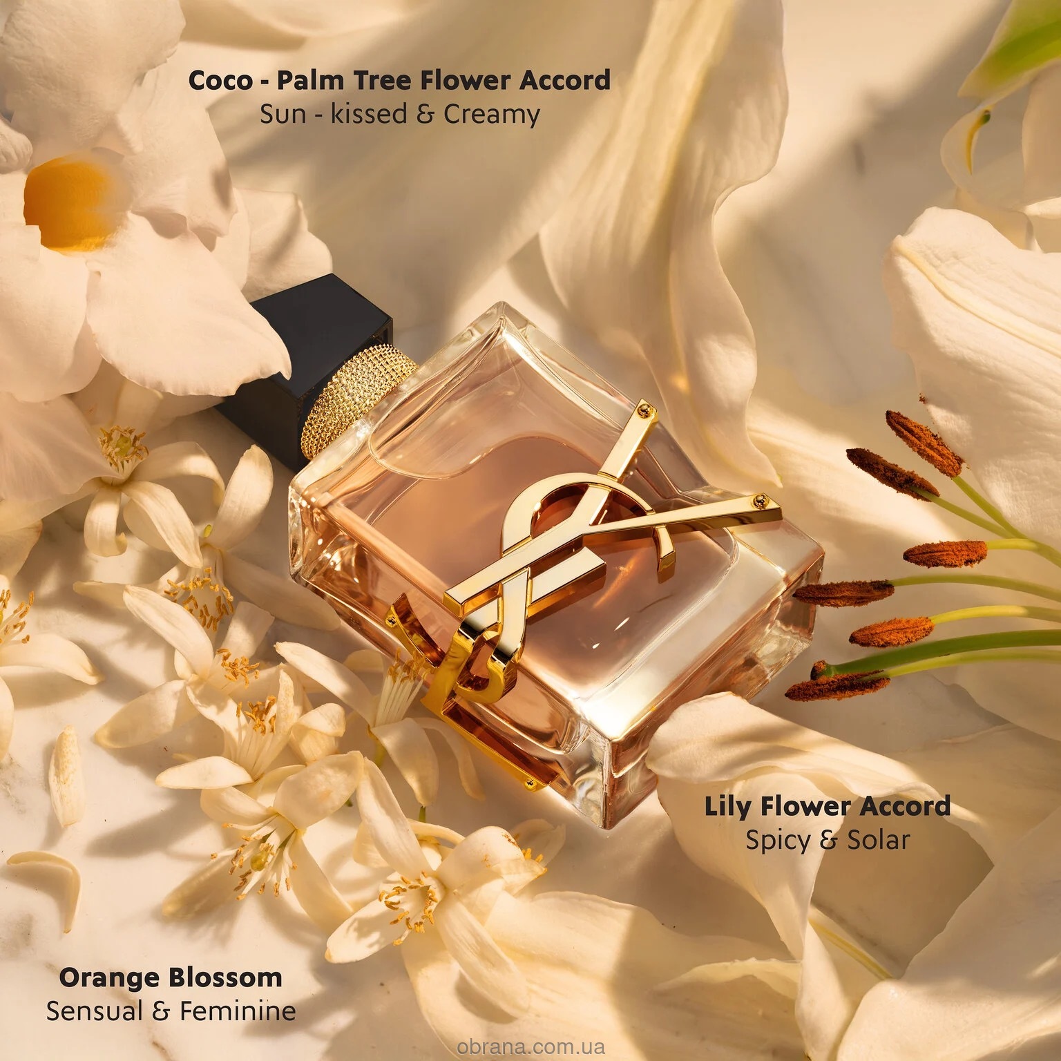 Libre Flowers and Flames Yves Saint Laurent image 0