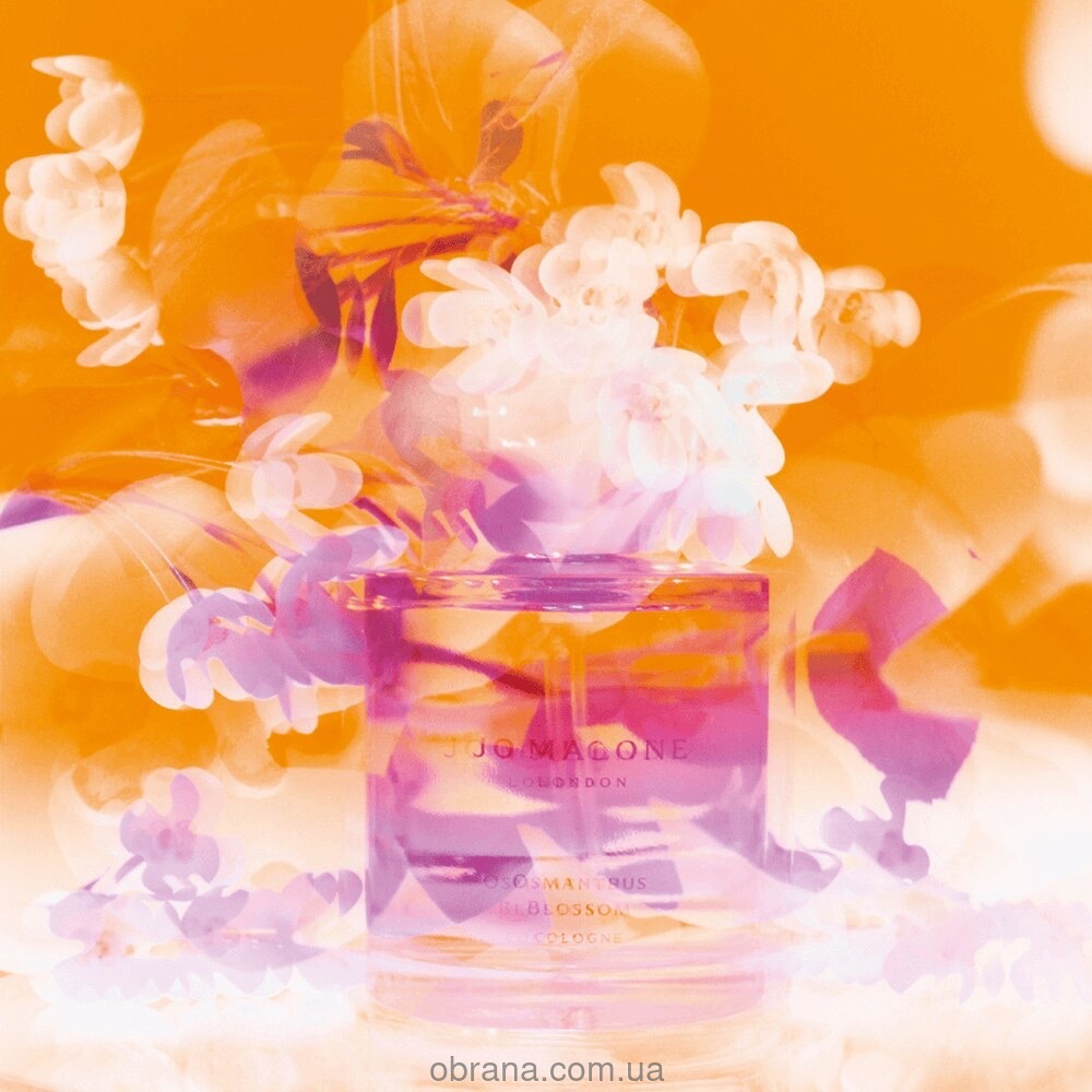 Osmanthus Blossom Cologne Jo Malone London image 0