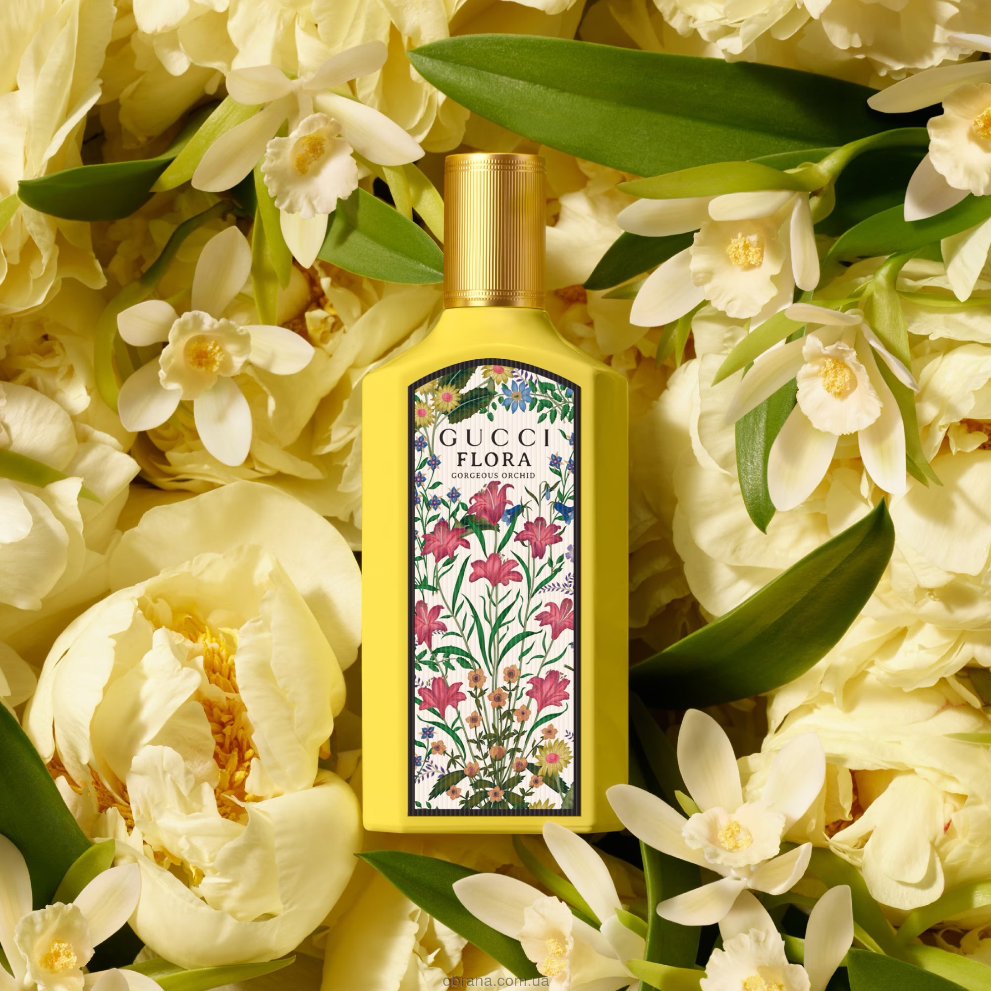 Flora Gorgeous Orchid Gucci image 0
