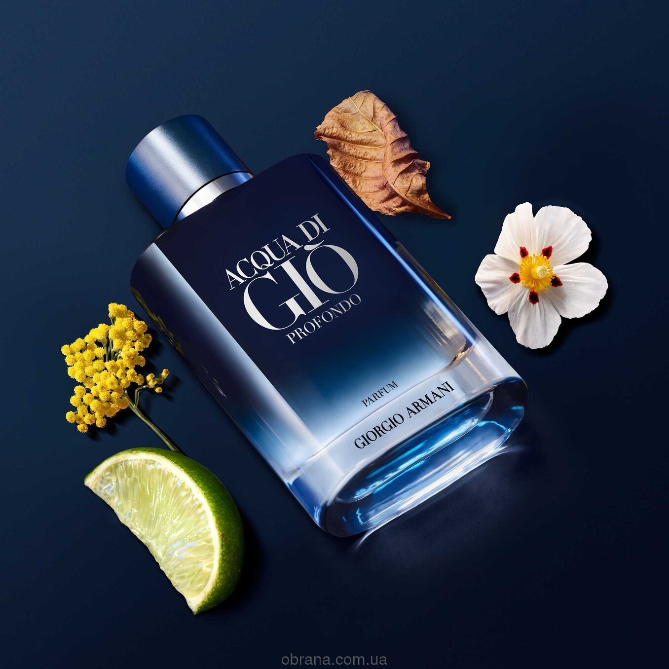 Acqua di Giò Profondo Parfum Giorgio Armani