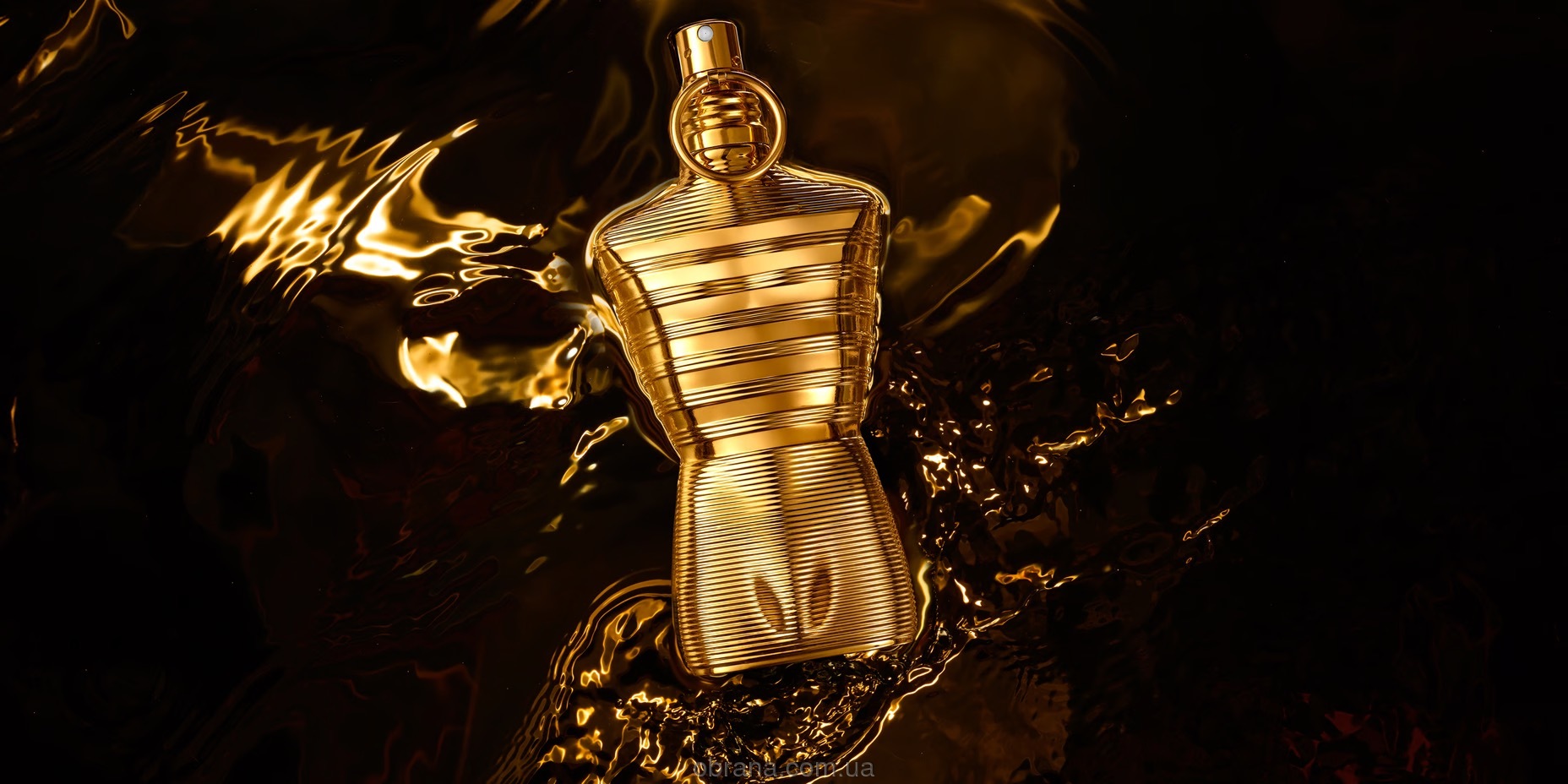 Le Male Elixir Absolu Jean Paul Gaultier image 0