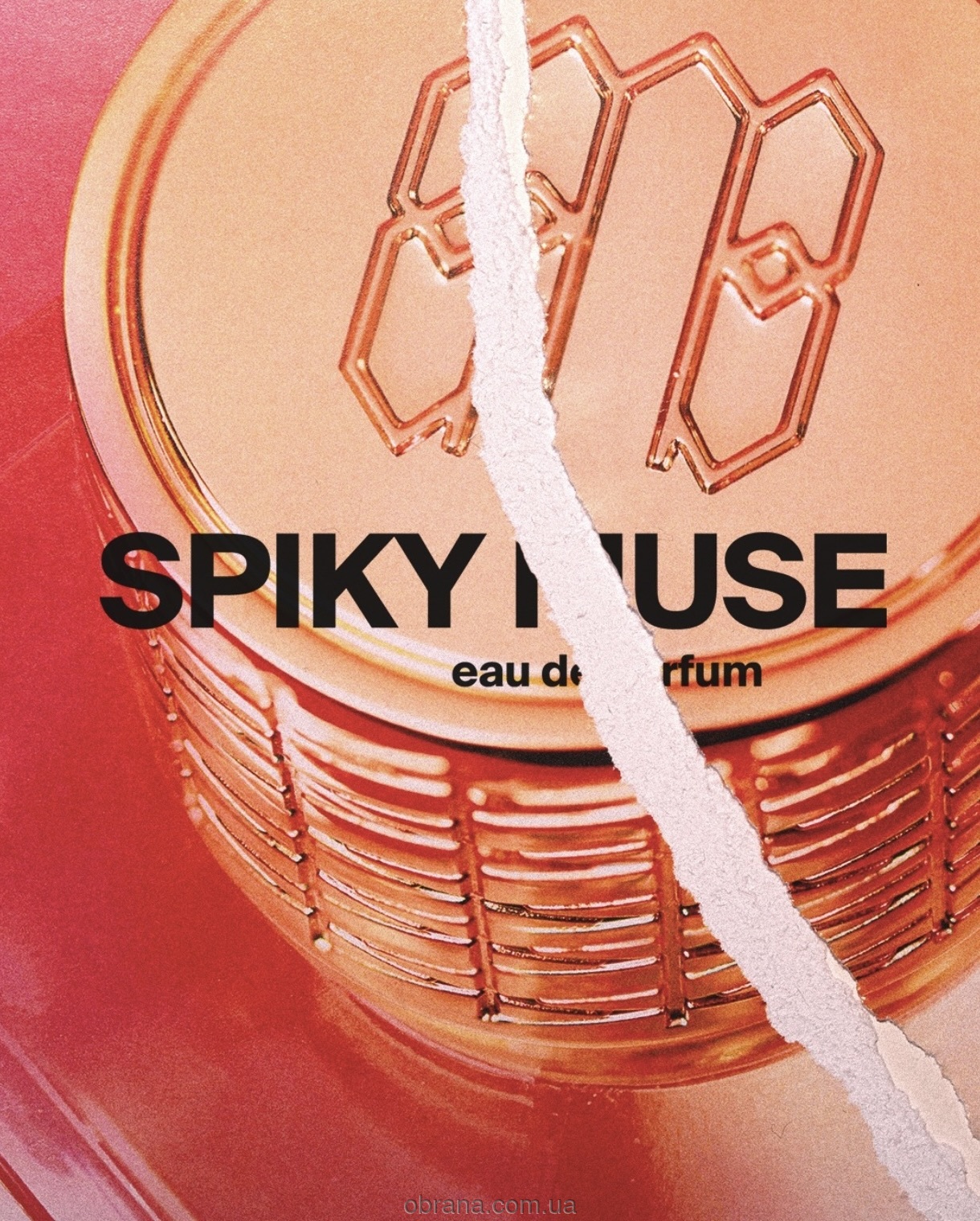 Spiky Muse Ex Nihilo image 0