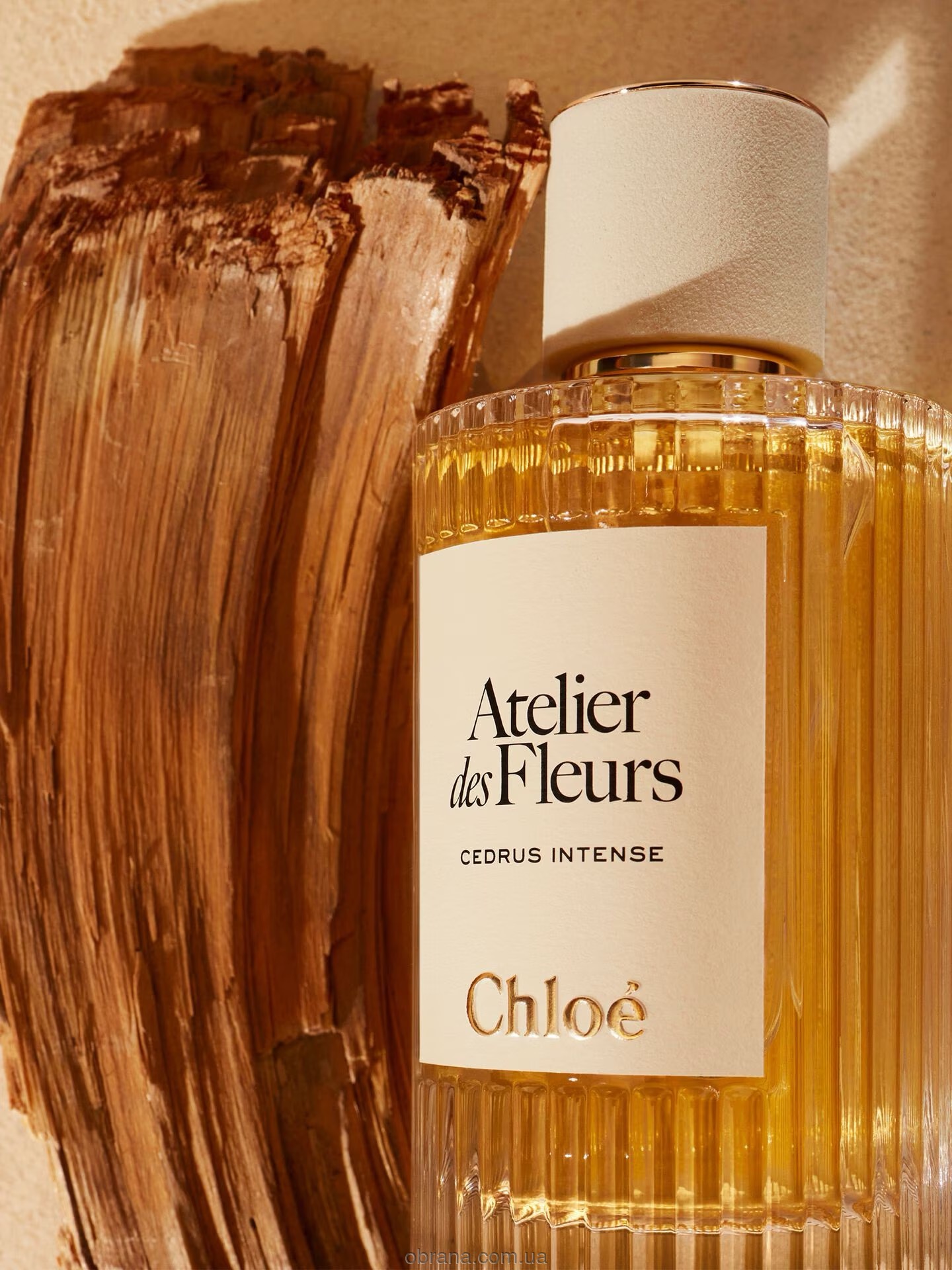 Atelier Des Fleurs Cedrus Intense Chloe